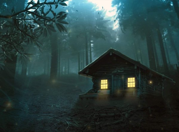 Домик в ночном лесу