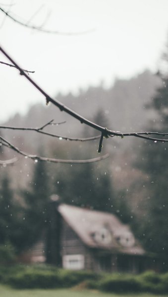 Дом под дождем