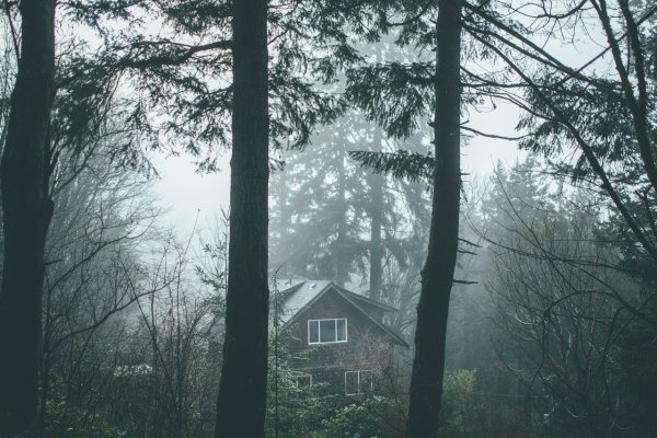 Дом в лесу туман
