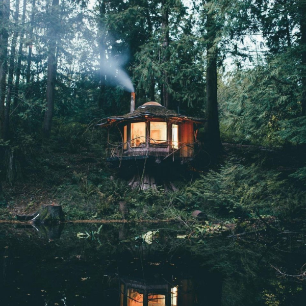 «Домик в глуши»