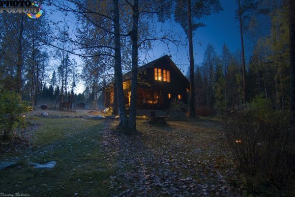 Домик в лесу ночью