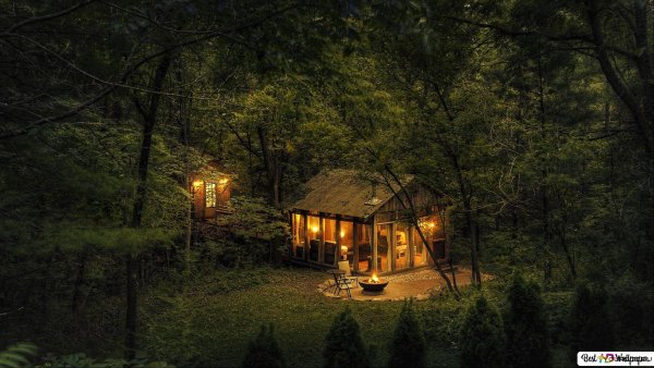 Уютный домик в лесу