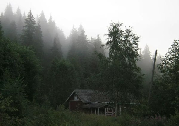 Домик в лесу в тумане