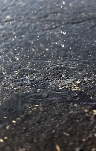 Мокрый асфальт