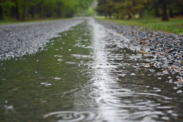 Теплый дождь