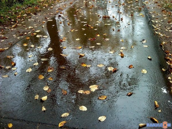 Осенние осадки