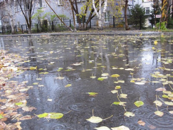 Лужа на асфальте