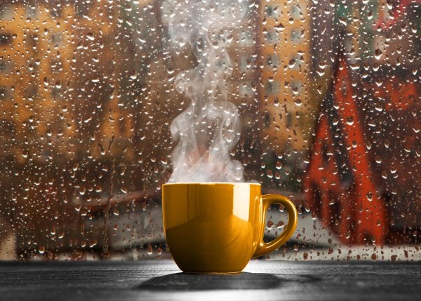 Дождливое утро