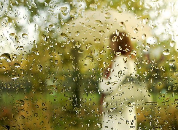 Дождь за окном