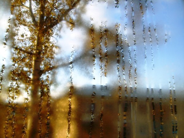 Дождливое осеннее окно