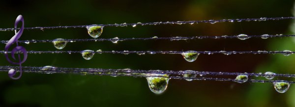 "Мелодия дождя"