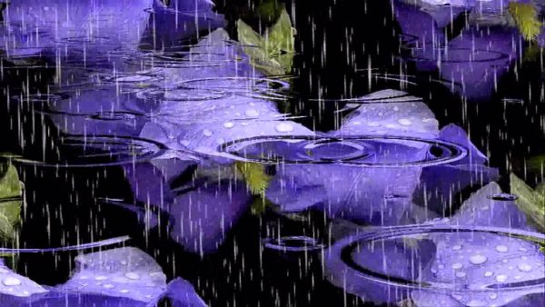 "Мелодия дождя"