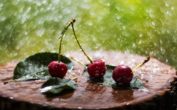 Ягоды в каплях воды