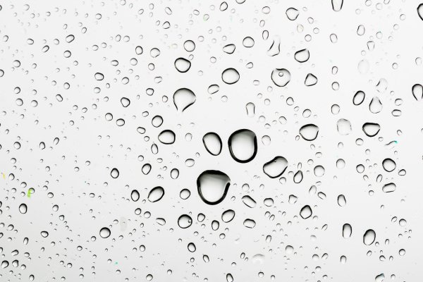 Капли воды на белом фоне