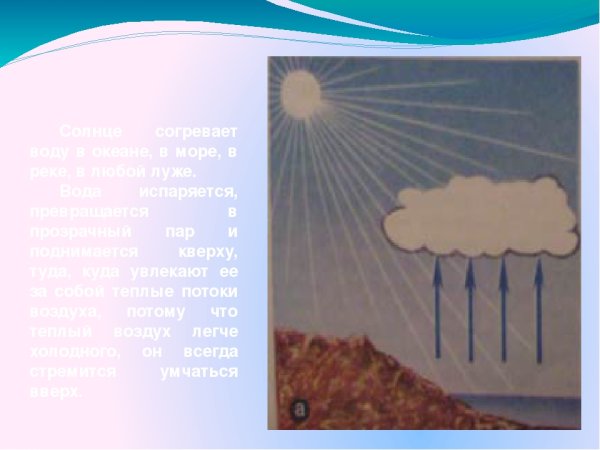 Солнце испаряет лужу