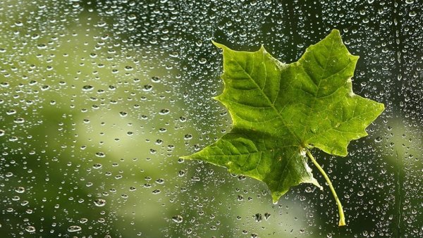 Стекло лист