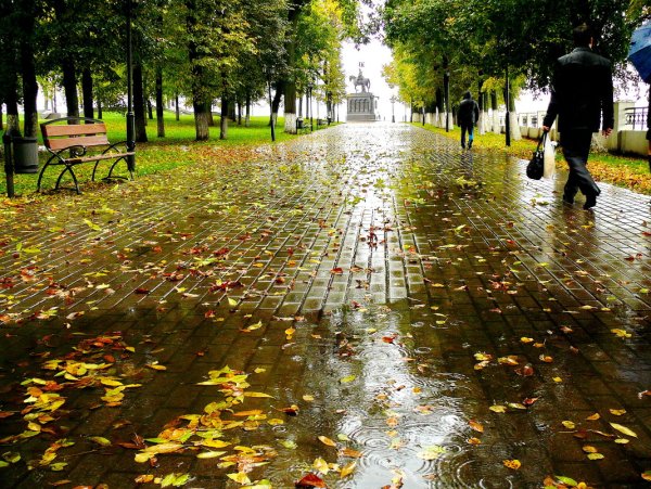 Дождливый осенний день