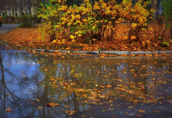 Ненастная осень