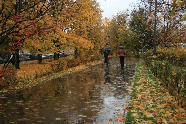 Дождливая осень