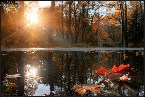 Утро октября