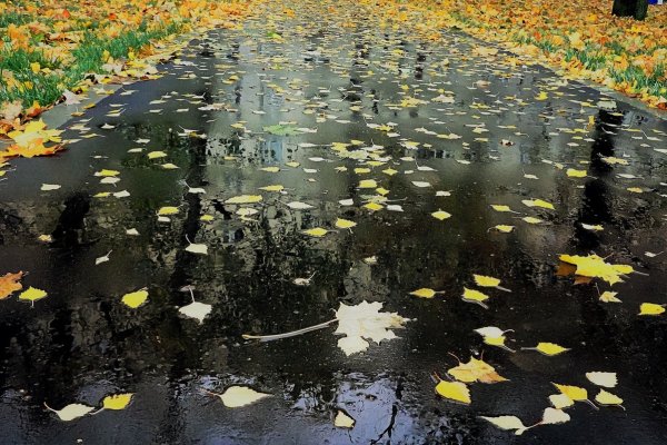 Дождливый октябрь