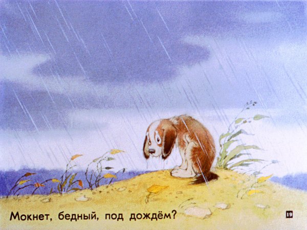 Щенок под дождем рисунок