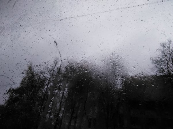 Граница дождя