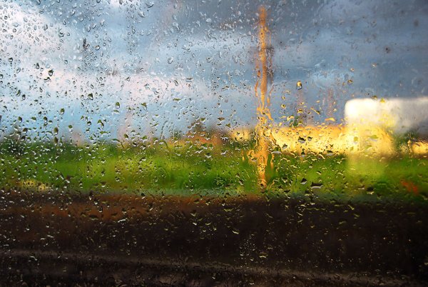 После дождя