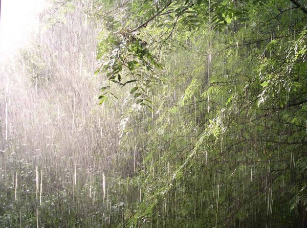 Ливневые дожди