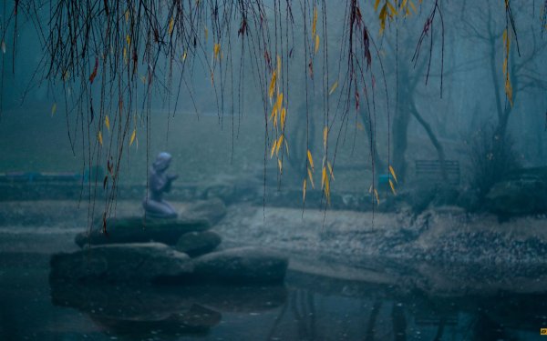 Обои на рабочий стол осень дождь