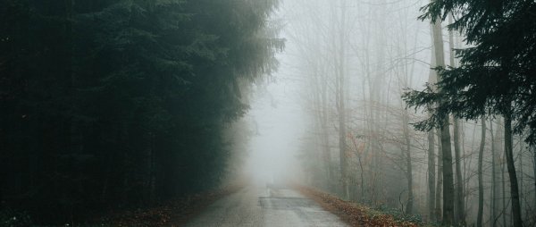 Мрачный пейзаж