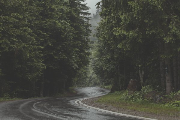 Лесная дорога Диас