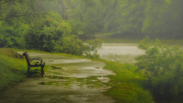 Природа дождь