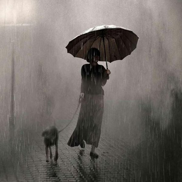 Дождь одиночество