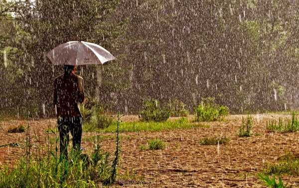 Дождь промокла