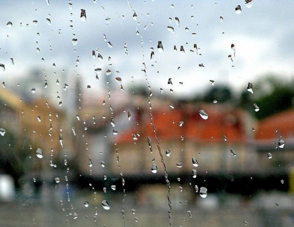 Облачно, небольшой дождь