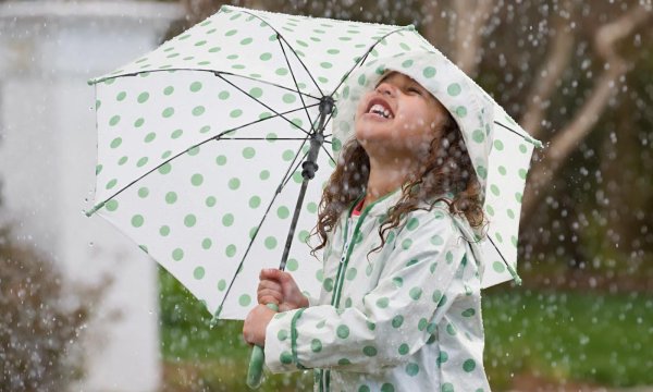 Небольшой дождик