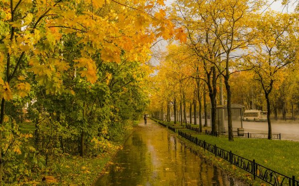 Золотая дождливая осень