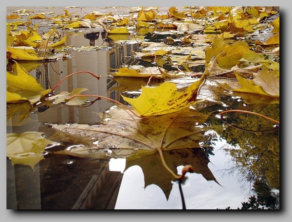 Хрустальная осень