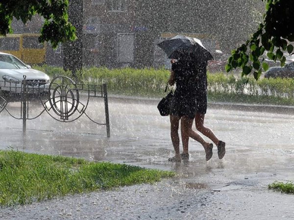 Дождь и ветер