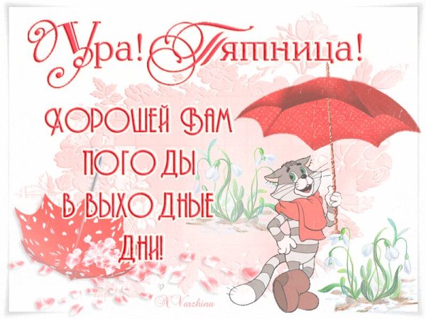 Пожелания в дождливый день