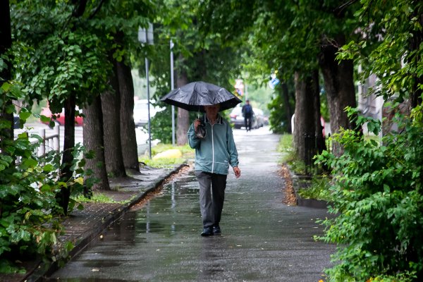 Летний дождь в городе