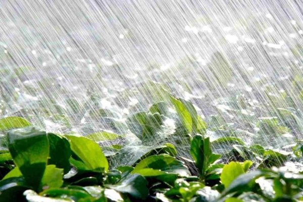 Проливной дождь