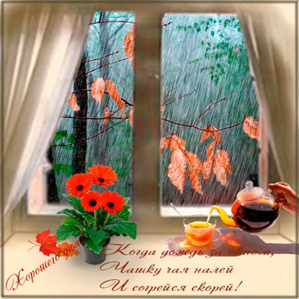 Сдобрым осеннм дождливым утром