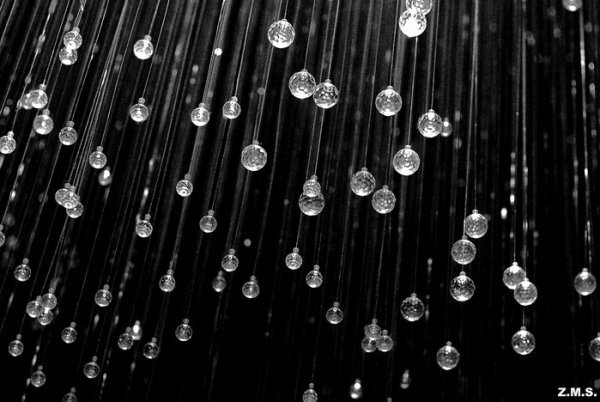 Серебряный дождь