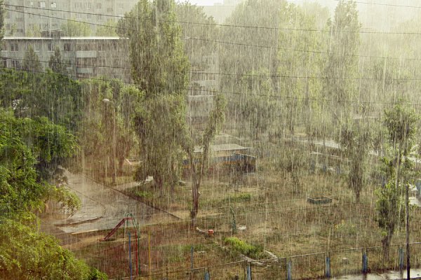 Дождик на дворе