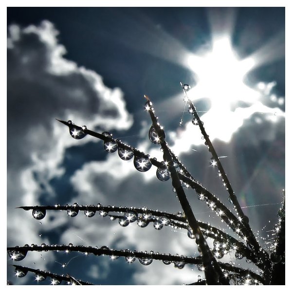 Серебряный дождь картинки