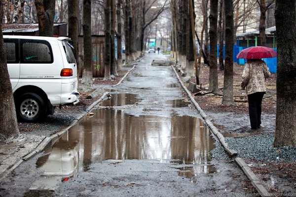 Осень слякоть дождь