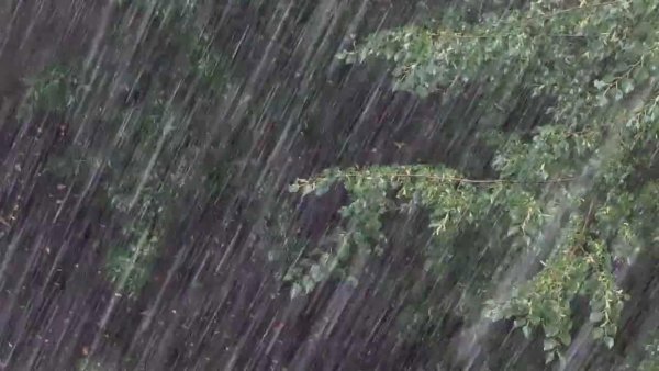 Косой дождь