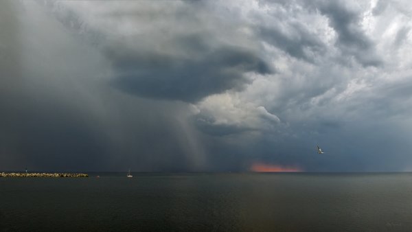 Косые дожди